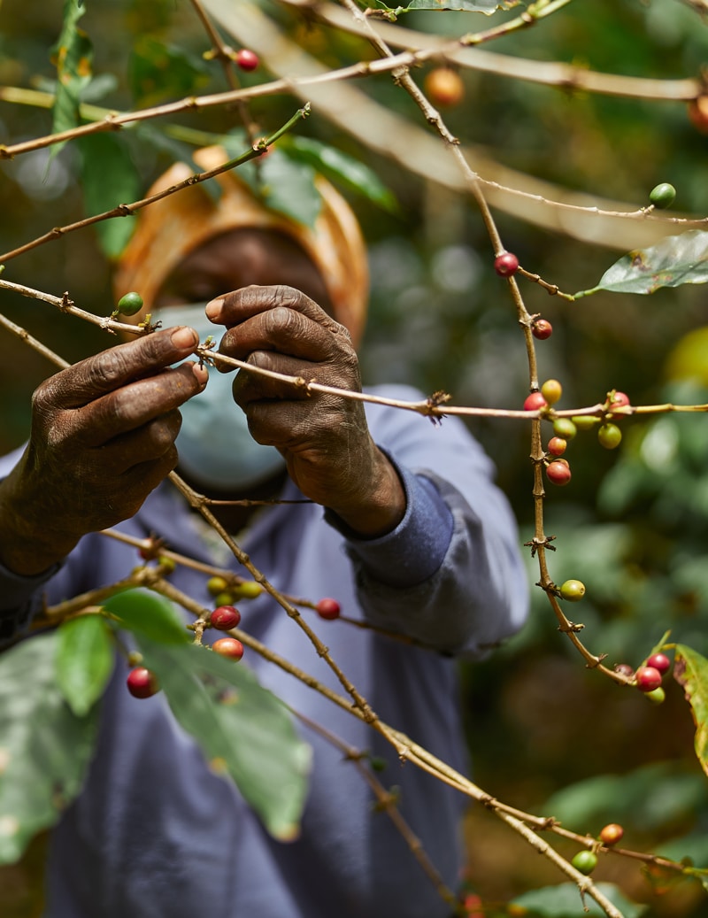 kenya-img1