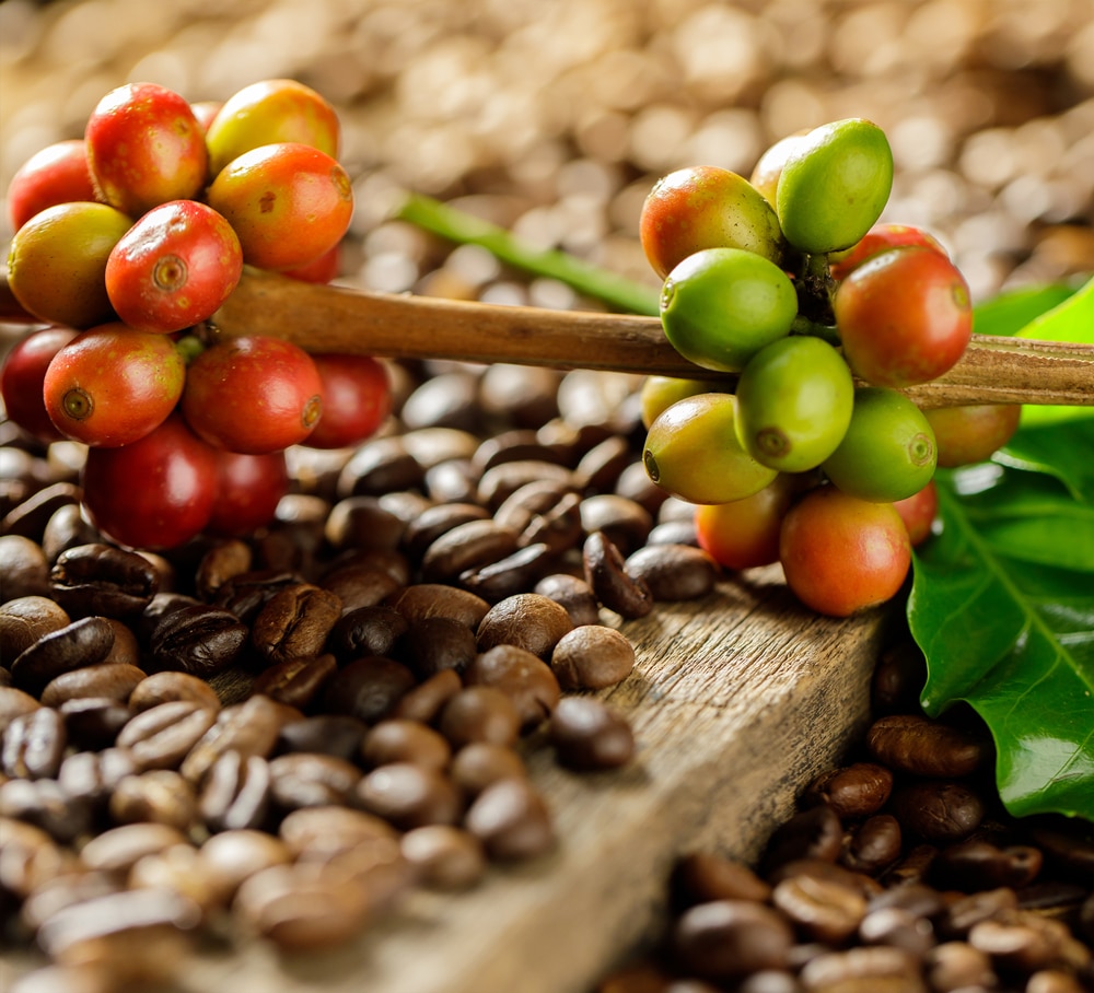 lepidas-coffee-img3